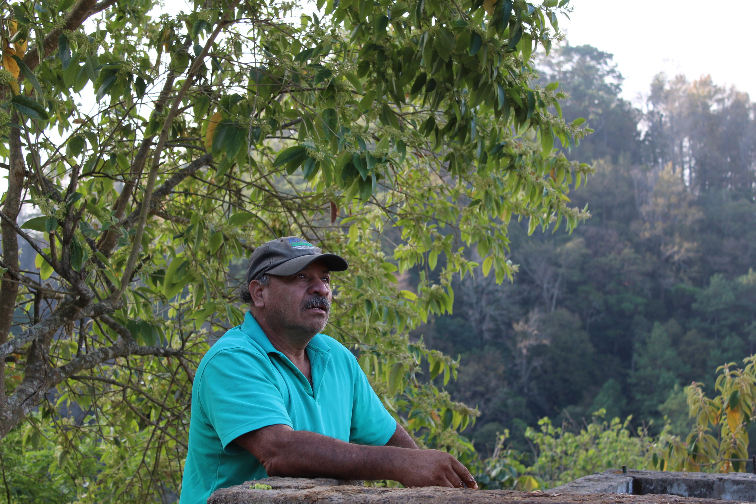 ignacio 2